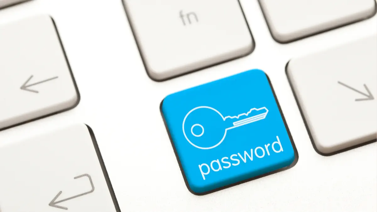 password manager 1