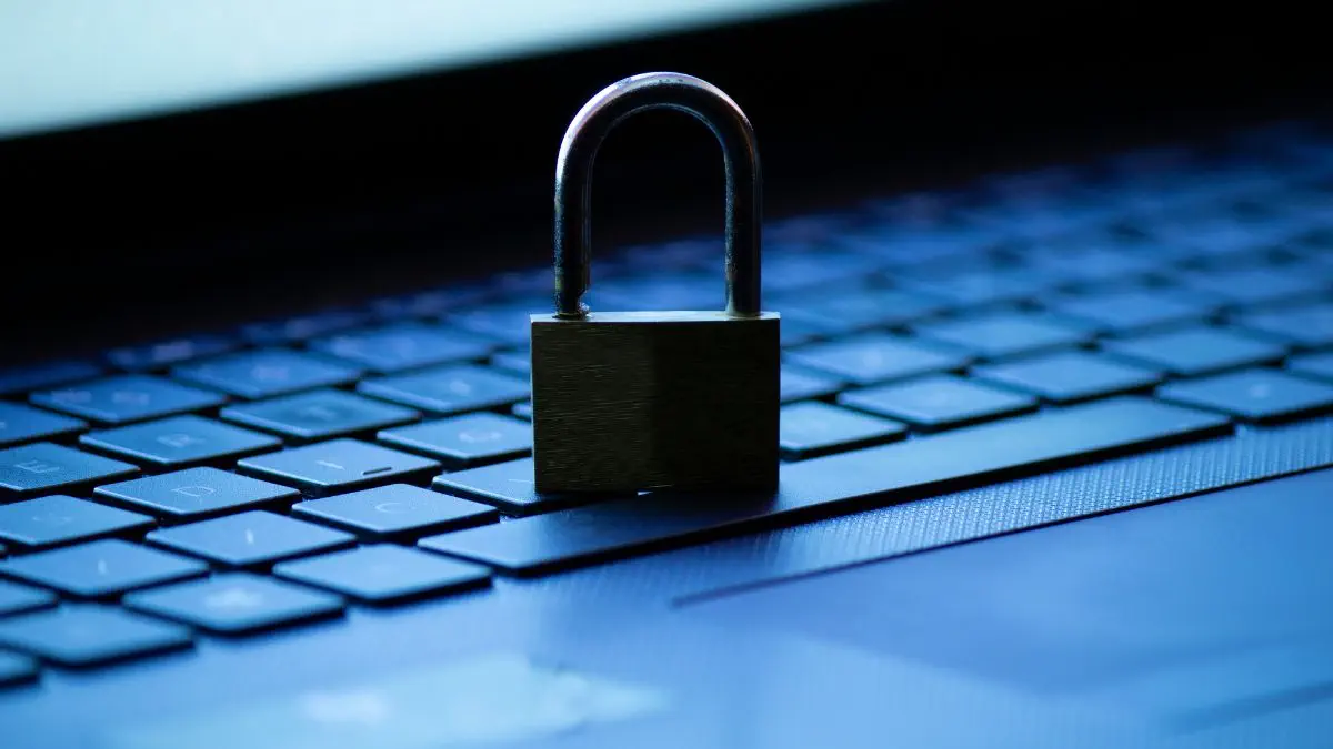 Tenable Vulnerability Management Analysis